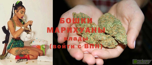 PSILOCYBIN Протвино